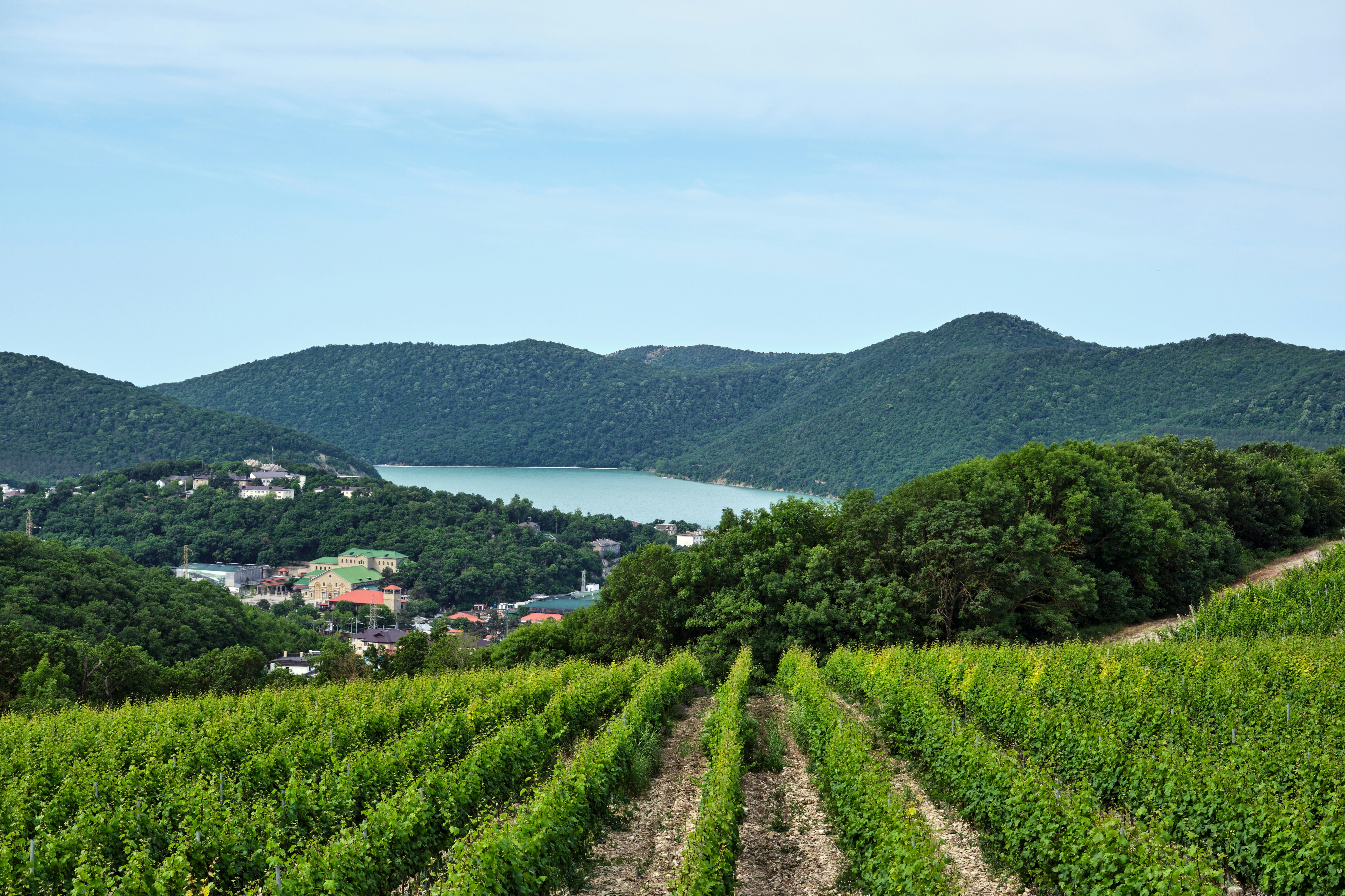 Wineries of Anapa